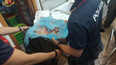 Gravi condizioni igienico sanitarie