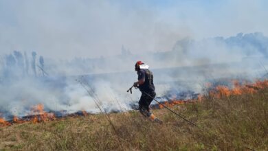 Fiamme sul litorale romano