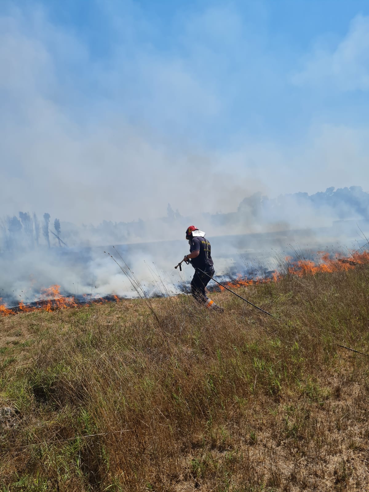 Fiamme sul litorale romano