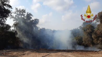 Sono oltre 40 gli interventi effettuati oggi dai Vigili del Fuoco