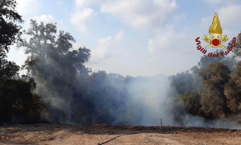 Sono oltre 40 gli interventi effettuati oggi dai Vigili del Fuoco