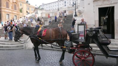 Animalisti protestano contro le "botticelle"