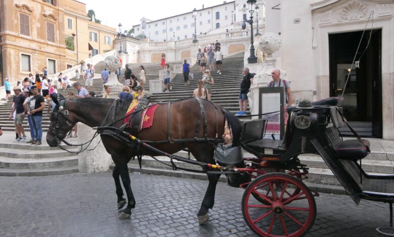 Animalisti protestano contro le "botticelle"