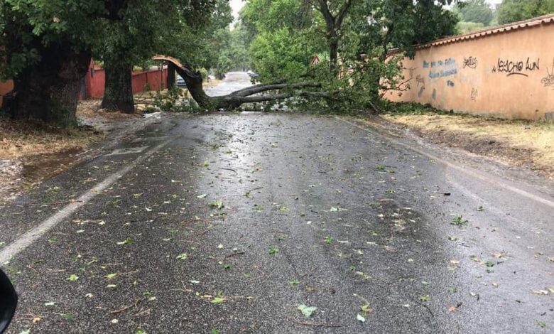 via di Rocca di Papa