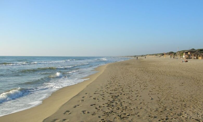 Giunta di Roma Capitale