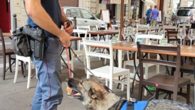 Operazione interforze a Roma Termini