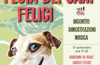 cani felici