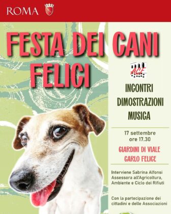 cani felici