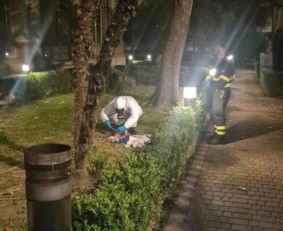 Pacco sospetto nel giardino dell'ambasciata russa