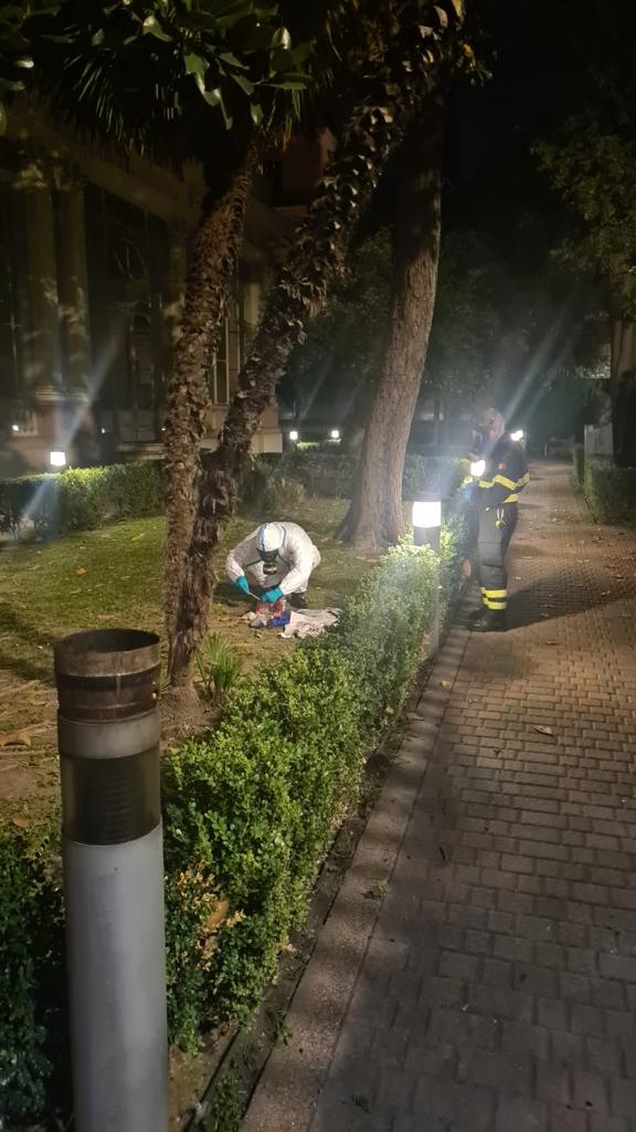 Pacco sospetto nel giardino dell'ambasciata russa