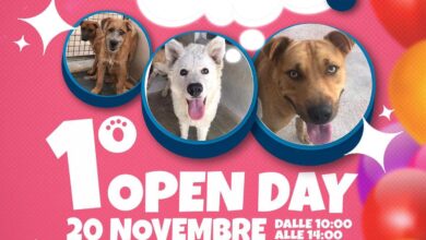 Associazione Amici del Cane