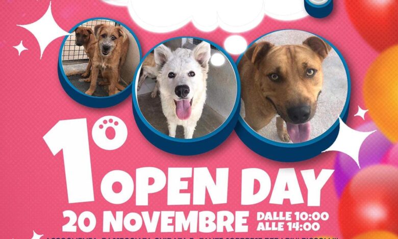 Associazione Amici del Cane