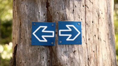 Il nominalismo della sinistra