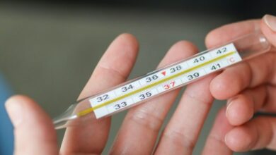 Il ritorno dell'influenza