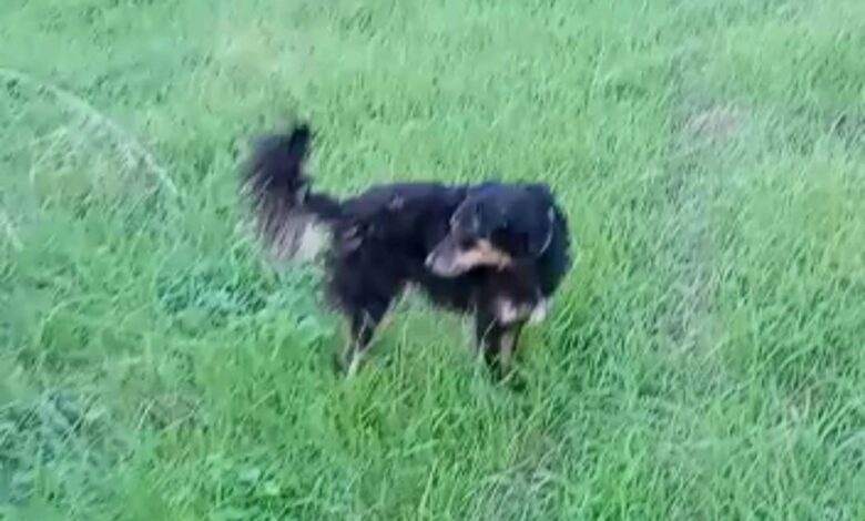 Una Santa Abi Barbie