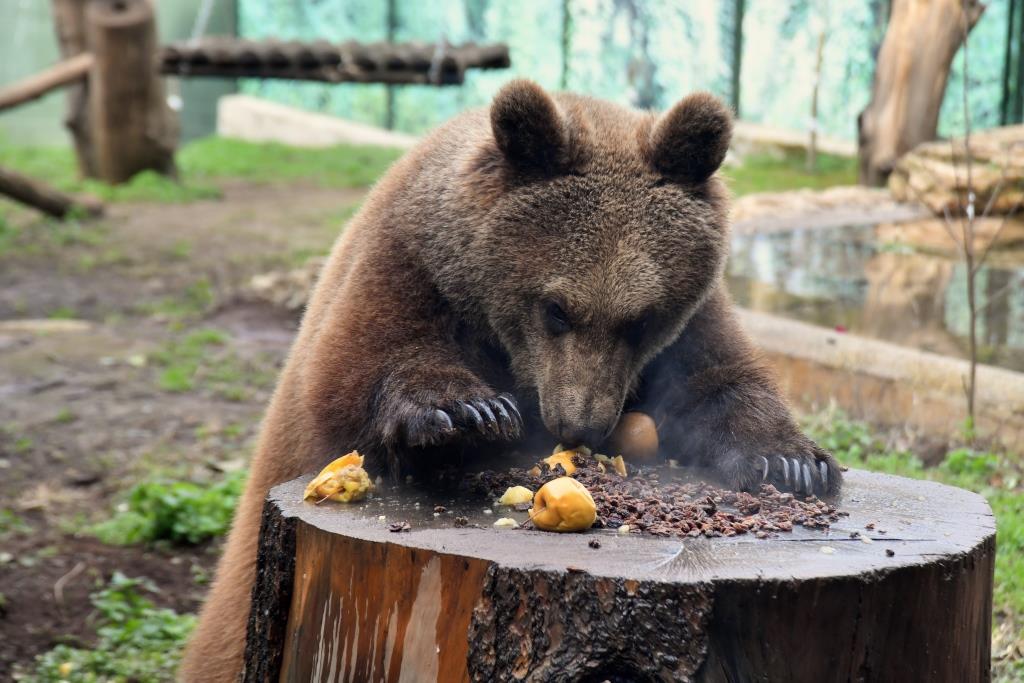 BIOPARCO