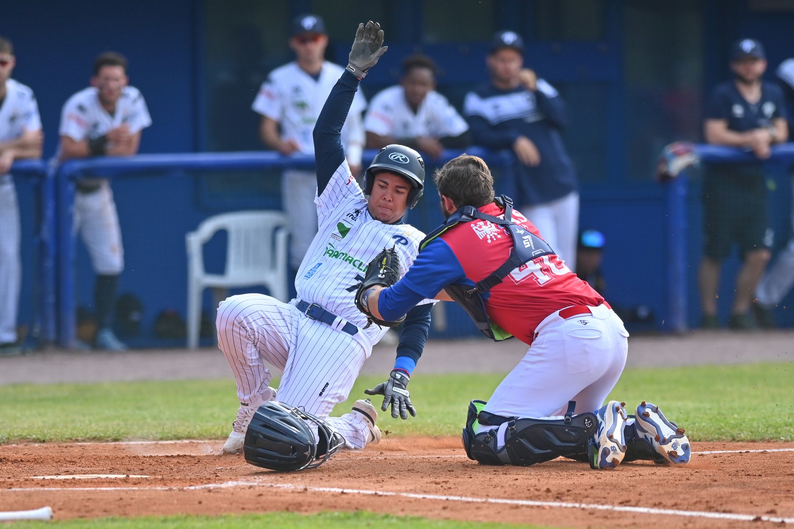 Serie A Baseball