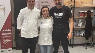 dolce roma gelato l'arte del gelato