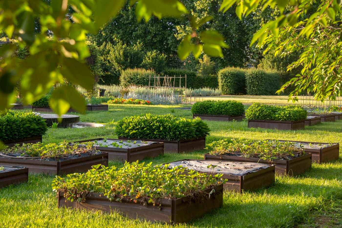 Gastronomica alla Reggia