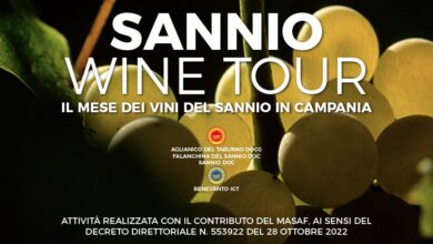 Sannio Wine Tour