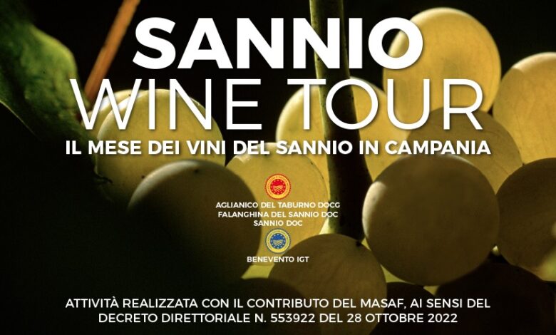 Sannio Wine Tour