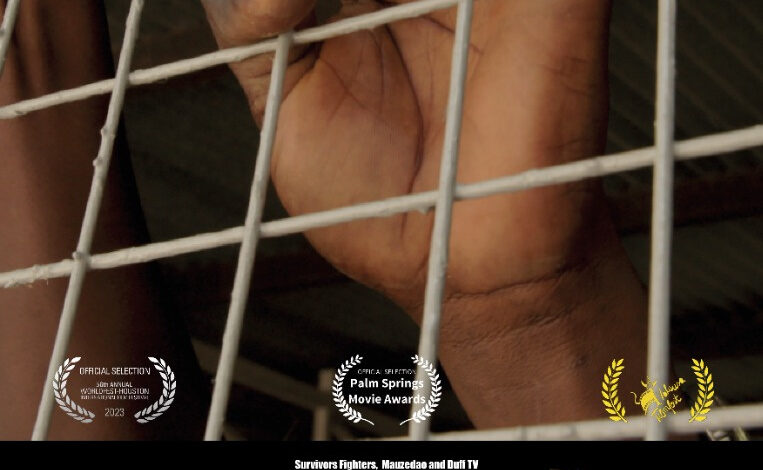 A Bordo! Il Festival di Mediterranea