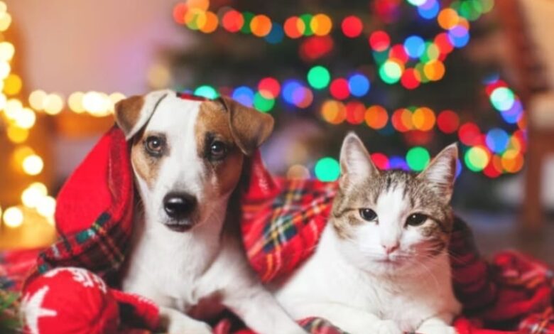 Associazione Amici del Cane di Latina