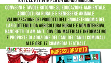 allevamenti intensivi