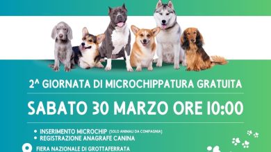 Per non perderci mai