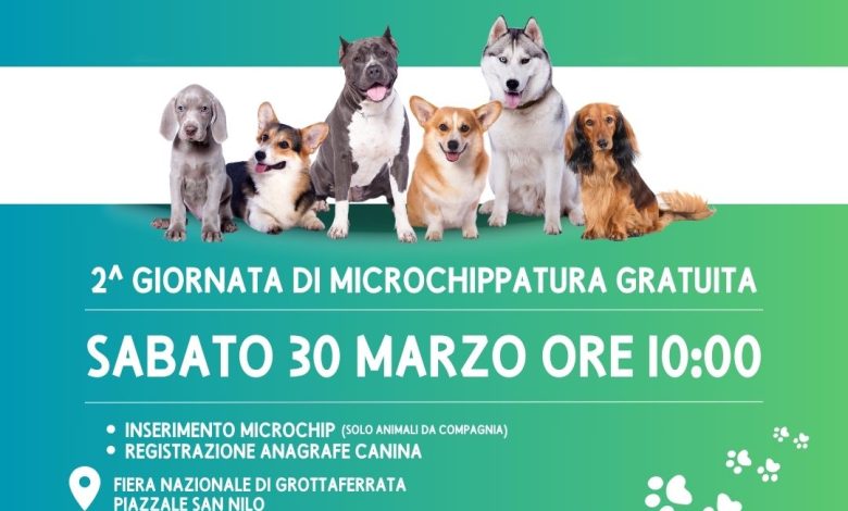 Per non perderci mai