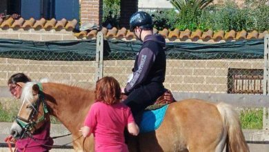 Un Cavallo per Amico