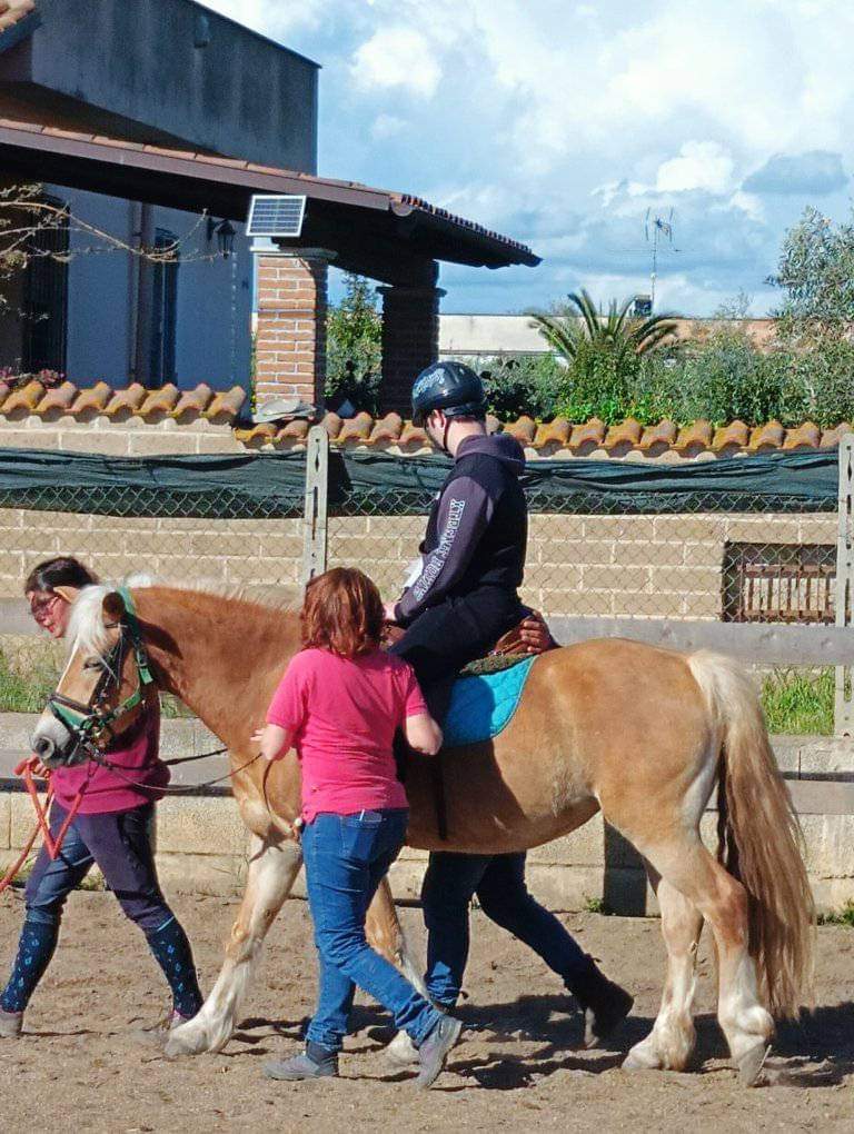 Un Cavallo per Amico