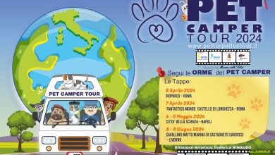 Pet Camper Tour
