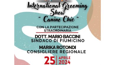 International Grooming Show Canine Chic