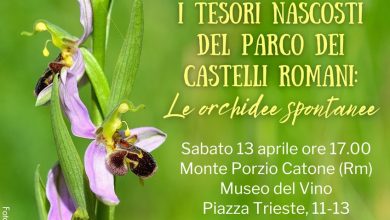 Parco dei Castelli Romani