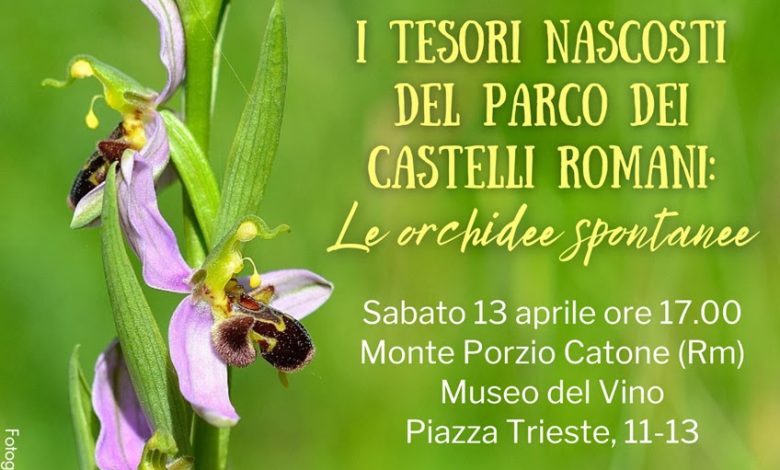 Parco dei Castelli Romani