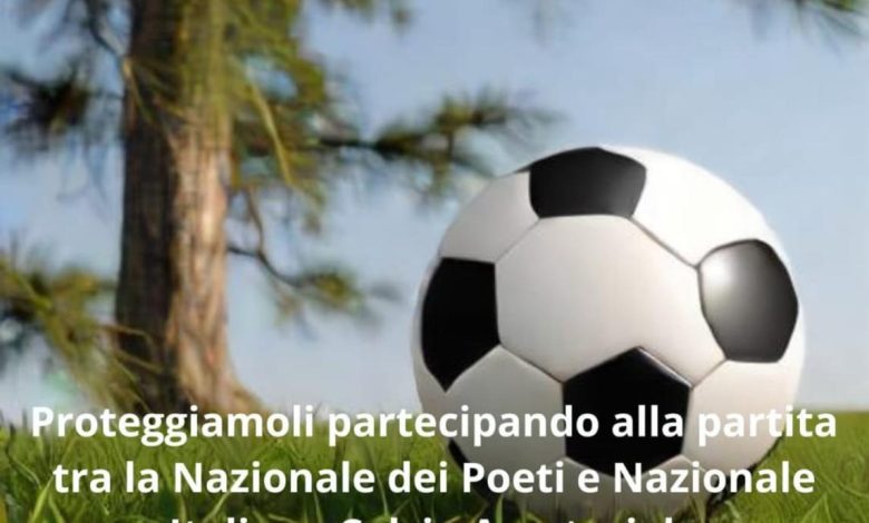 La partita degli Alberi
