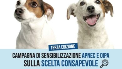 Scegli con il cuore ma prima parla con un nostro educatore