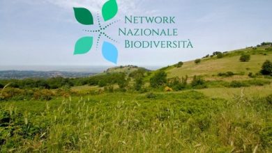 Parco regionale dei Castelli Romani