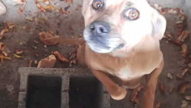 MURATO" IN UN RUDERE