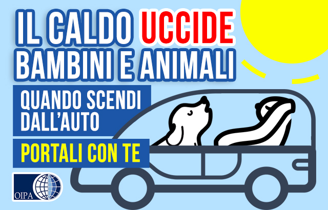 LASCIARE UN ANIMALE IN AUTO