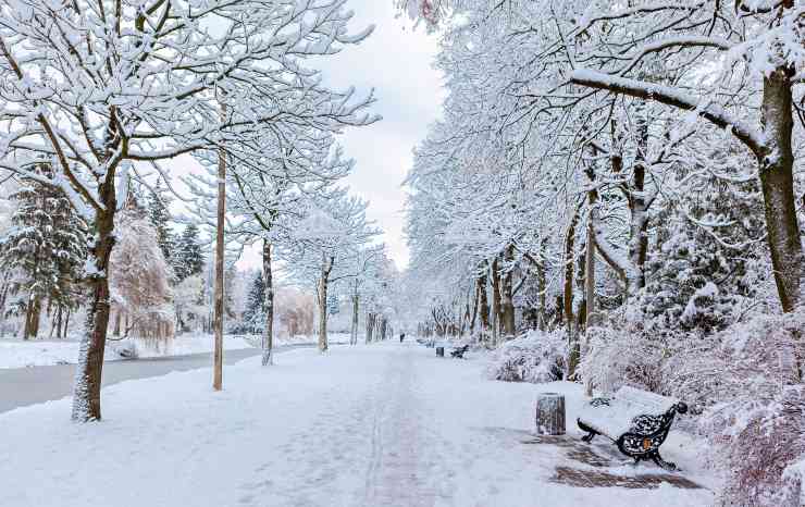 Paesaggio innevato