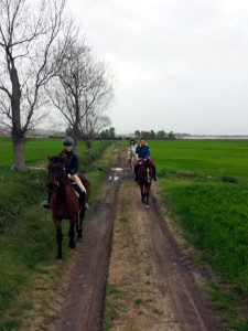 Passeggiata di campagna